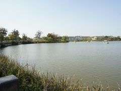 -上海长兴岛郊野公园