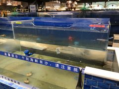 水产区-圣罗巴海鲜自助(黑金店)