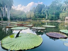 -中国科学院西双版纳热带植物园