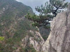 -罗田天堂寨风景区