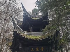 -重庆园博园