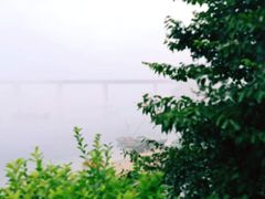-大长山岛
