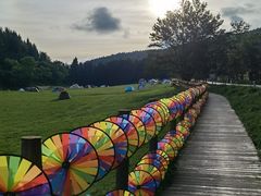 -武陵山森林公园