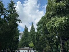 -包公祠