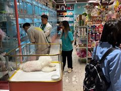 -FAELING PETS美天灵宠物(合生汇店)