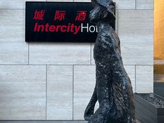 -上海新国际博览中心城际酒店