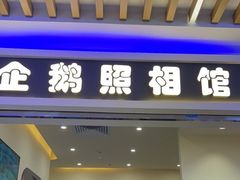-企鹅照相馆(岗顶天娱店)