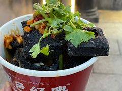 -黑色经典臭豆腐·湖南特产(坡子街店)