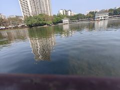 -荔湾湖公园