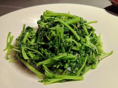 蒜蓉苋菜-小绍兴家宴·百年绍兴菜(鲁迅路店)