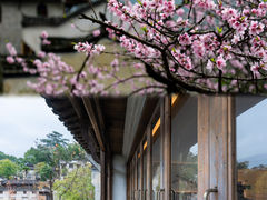 -大鄣山卧龙谷景区