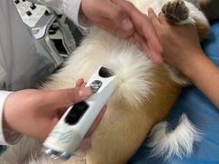 -达爱动物医院·犬猫分区·CT·复杂眼科(远洋山水分院)