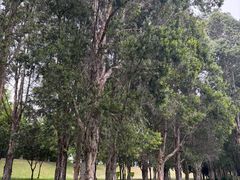 -福建鲤鱼洲酒店