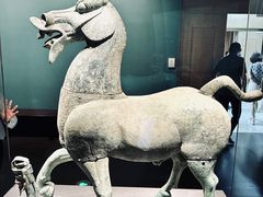 -广西壮族自治区博物馆