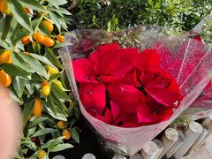 -FEI FEI FLOWER鲜花店·气球派对·宝宝宴布置(虹口德必运动Loft店)