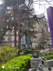 -河南中医药大学第一附属医院-医疗整形