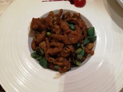 -金蝉食府(维吉奥广场店)