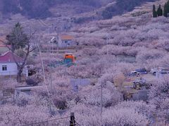 -崂山九水游览区