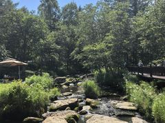 -汤旺河林海奇石景区