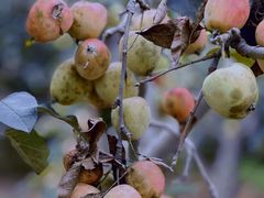 -稻梦空间冰雪小镇