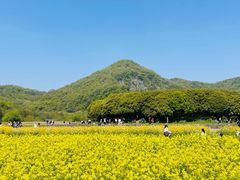 -铭莲·八卦田水上餐厅