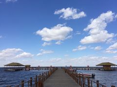 -乌梁素海景区