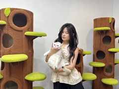 -青奢宠物·青奢猫舍