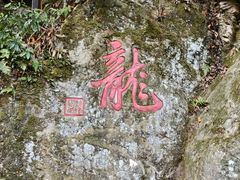 -十八棵（老龙井）御茶园(老龙井店)
