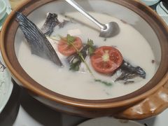 -全乐鱼馆·淳牌有机鱼直营店