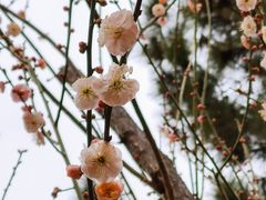 -团结湖公园