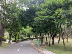 -深圳国际园林花卉博览园