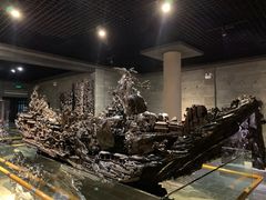 -乐山乌木文化博览苑