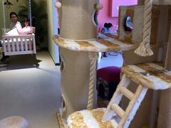 -藏猫猫咖啡主题馆(中央大道店)