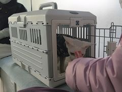 -中农国际动物医院24小时·猫科·骨科·急重症中心