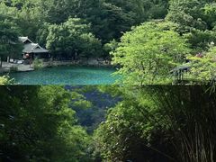 -紫云谷景区