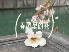 -成都市活水公园