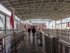 -武汉关码头(轮渡站)