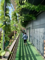 -可可天空农场(中大店)