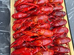 -肥肥虾庄·金牌油焖大虾(东湖欢乐谷店)