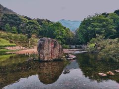 -广州市石门国家森林公园