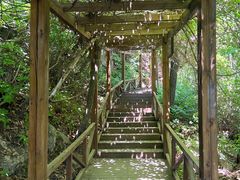 -大岭沟猕猴桃谷风景区