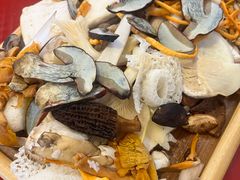 -草墩罗非鱼庄•野生菌•腊排骨(七星街上段店)