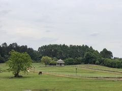 -保利石象湖景区