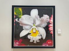 -德基艺术博物馆