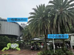 -圣淘沙天际线斜坡滑车