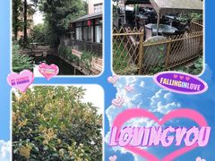 -张鸟园农家乐(张鸟园店)