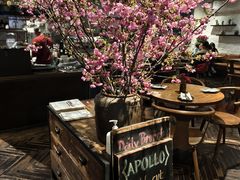 -Apollo·西班牙小酒馆(安福路店)