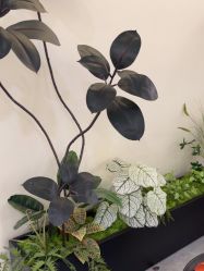 -海涛医疗美容·面部抗衰·注射美鼻