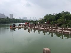 -广西壮族自治区药用植物园
