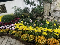 -汇龙潭